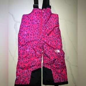 The North Face snow pants